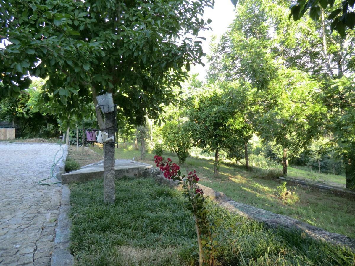 Vianashome Amarante Zewnętrze zdjęcie